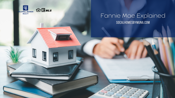 Fannie Mae Explained