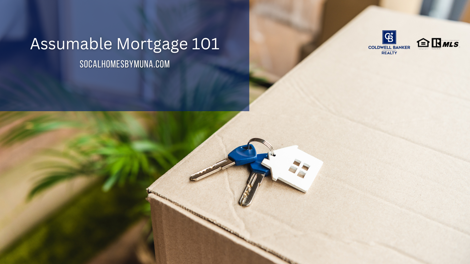 Assumable Mortgage 101